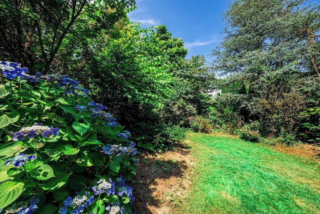 Photo of Outdoor in Falmouth