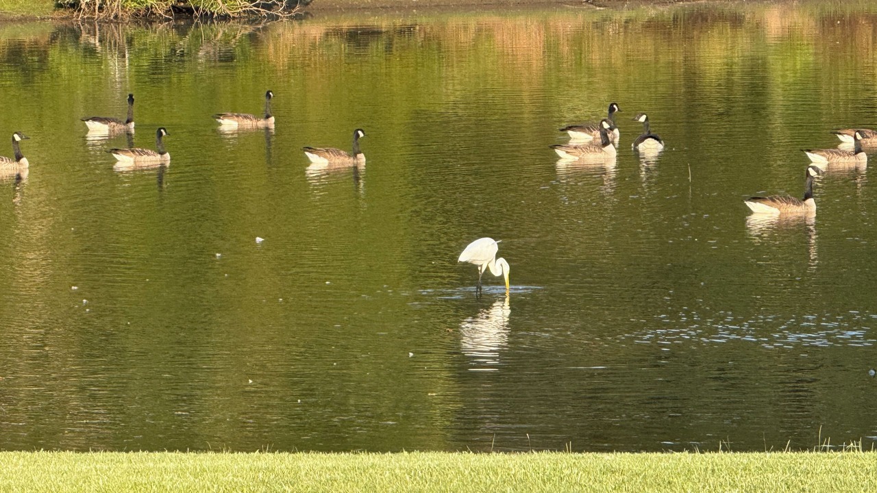 Photo of Others in Gulfport