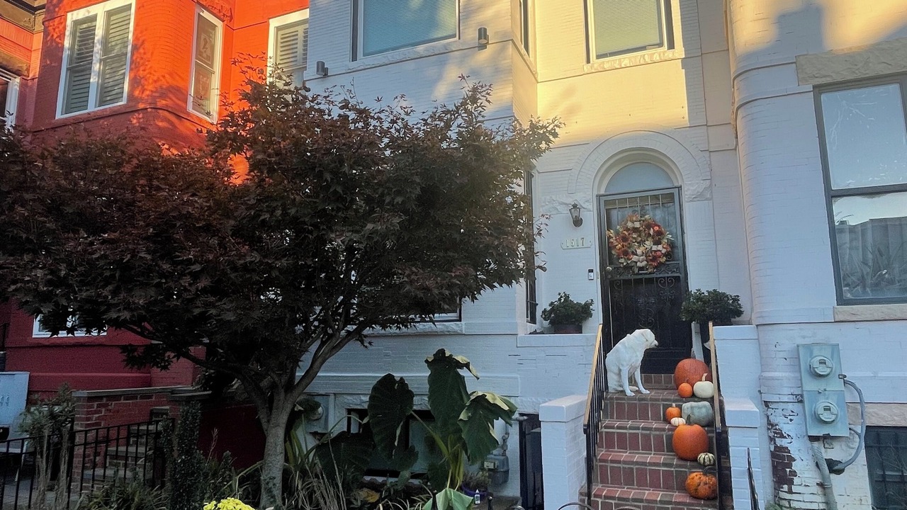 Photo of Outdoor in Truxton Circle