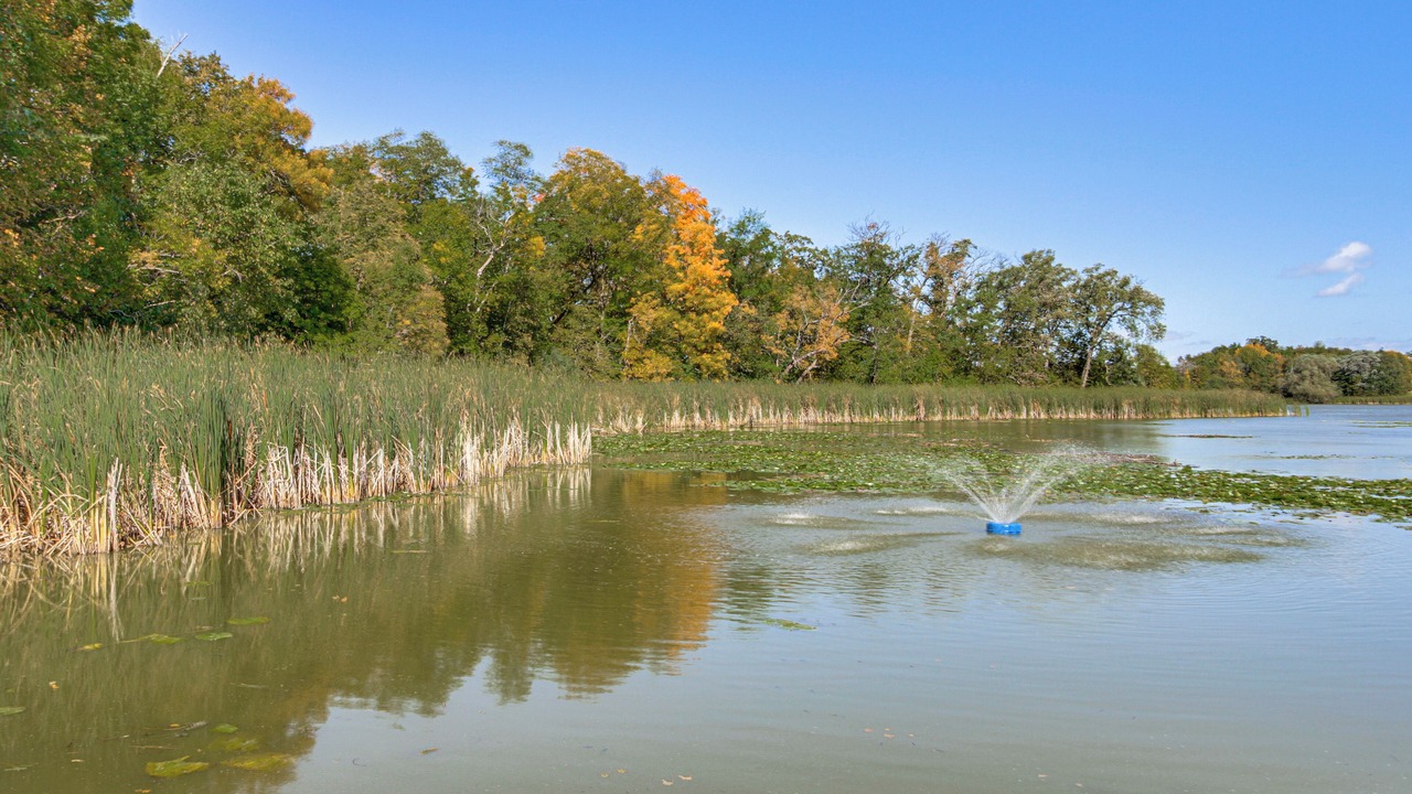 Photo of Outdoor in Parkers Prairie