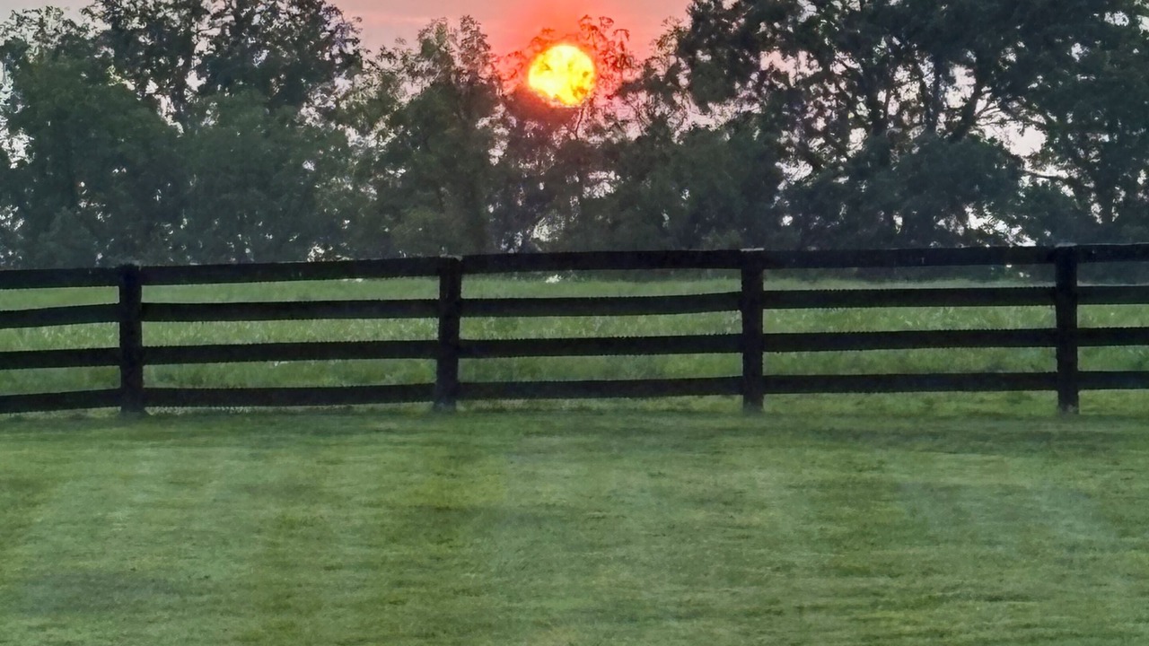 Photo of Others in Middleburg