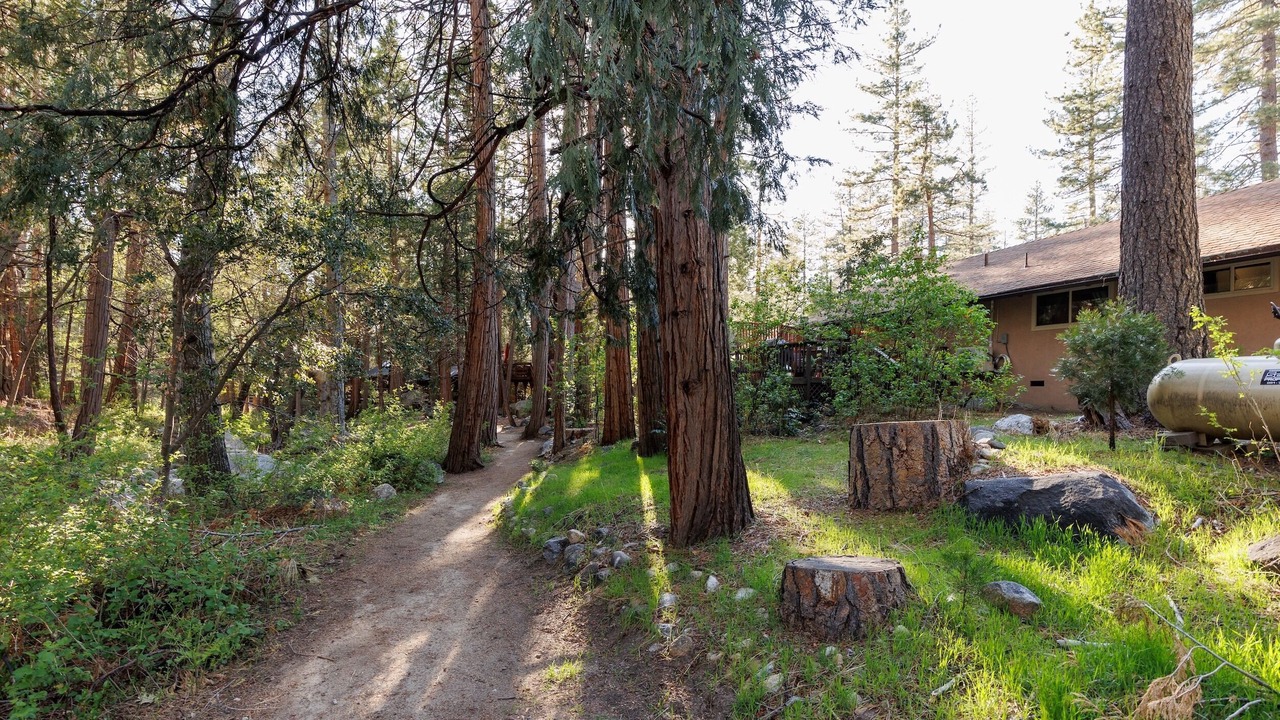 Photo of Outdoor in Idyllwild