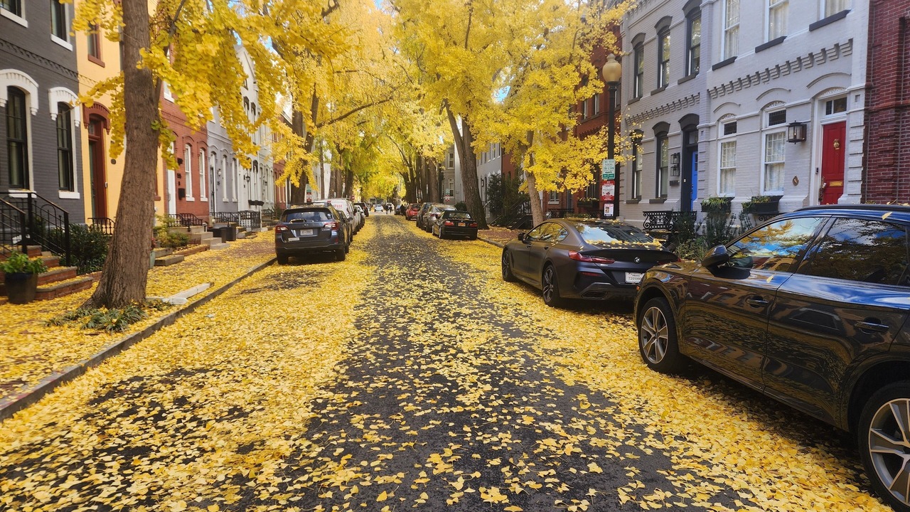 Photo of Outdoor in Dupont Circle