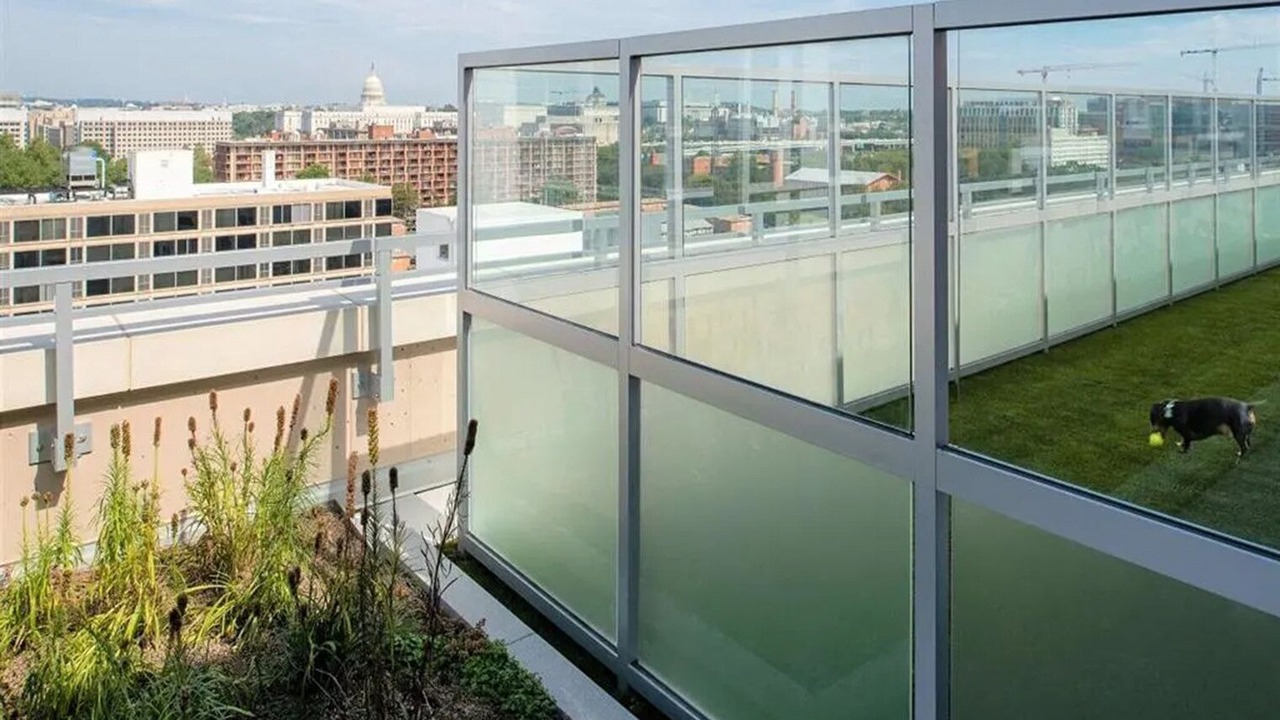 Photo of Outdoor in Capitol Hill