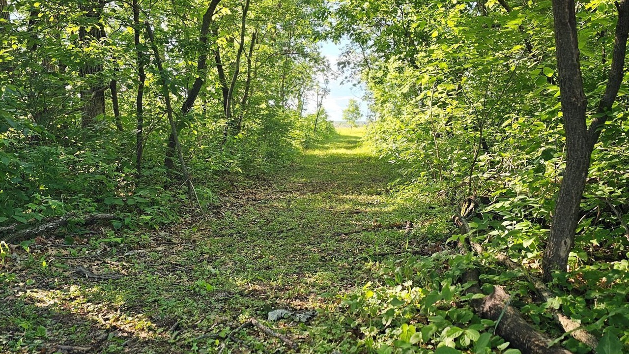Photo of Others in Grantsburg