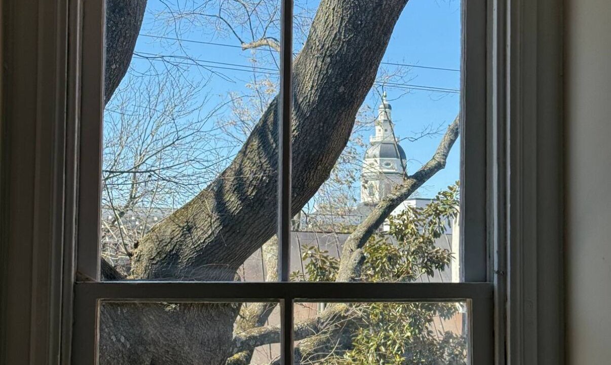Photo of Others in Historic District