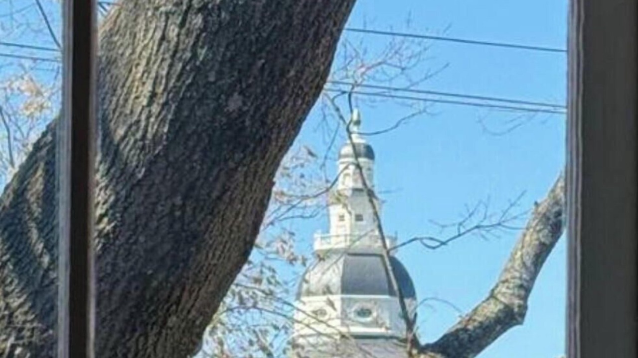 Photo of Others in Historic District