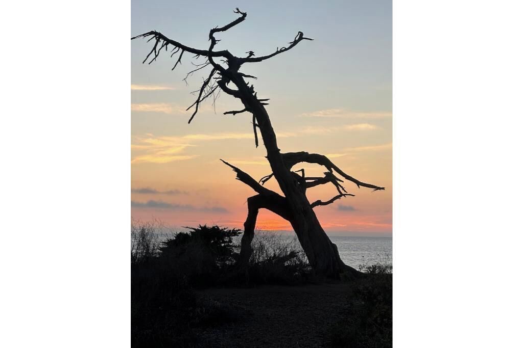 Photo of Others in Carpinteria