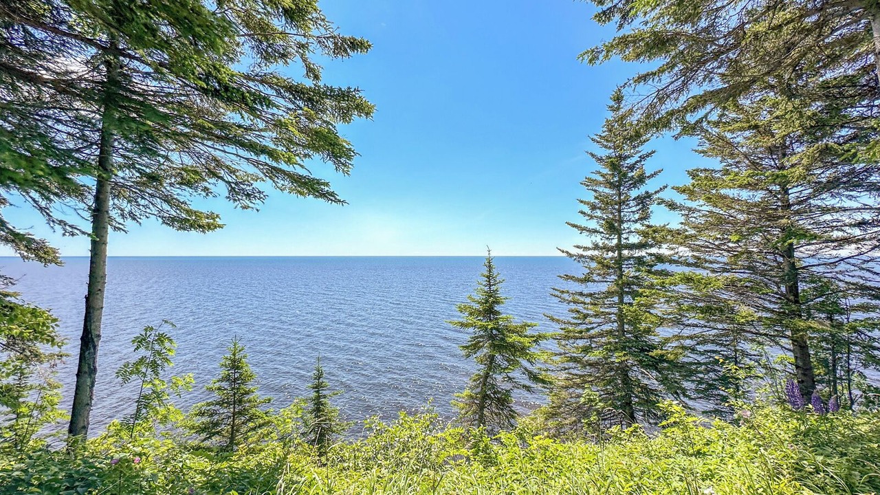 Photo of Others in Tofte