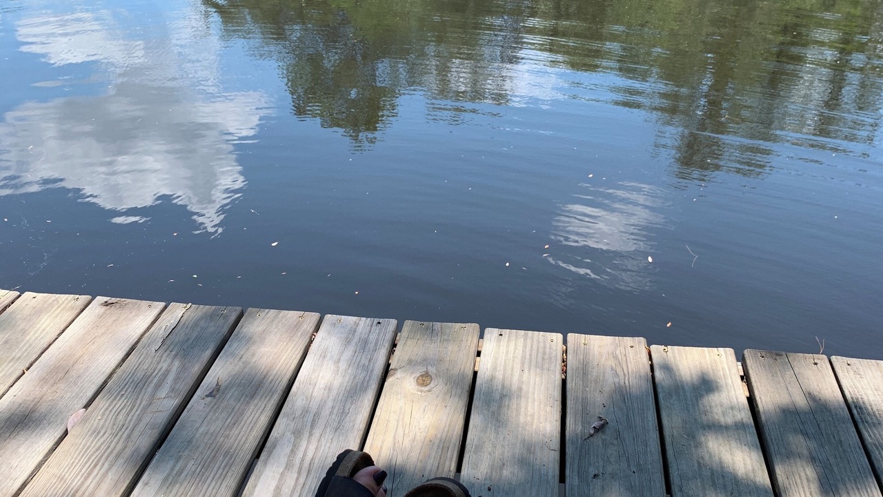 Photo of Others in Mobile