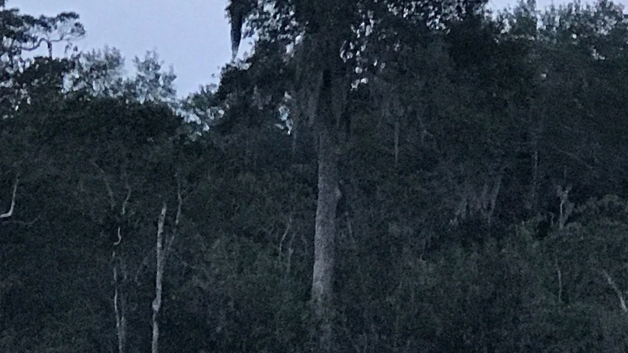 Photo of Others in Mobile