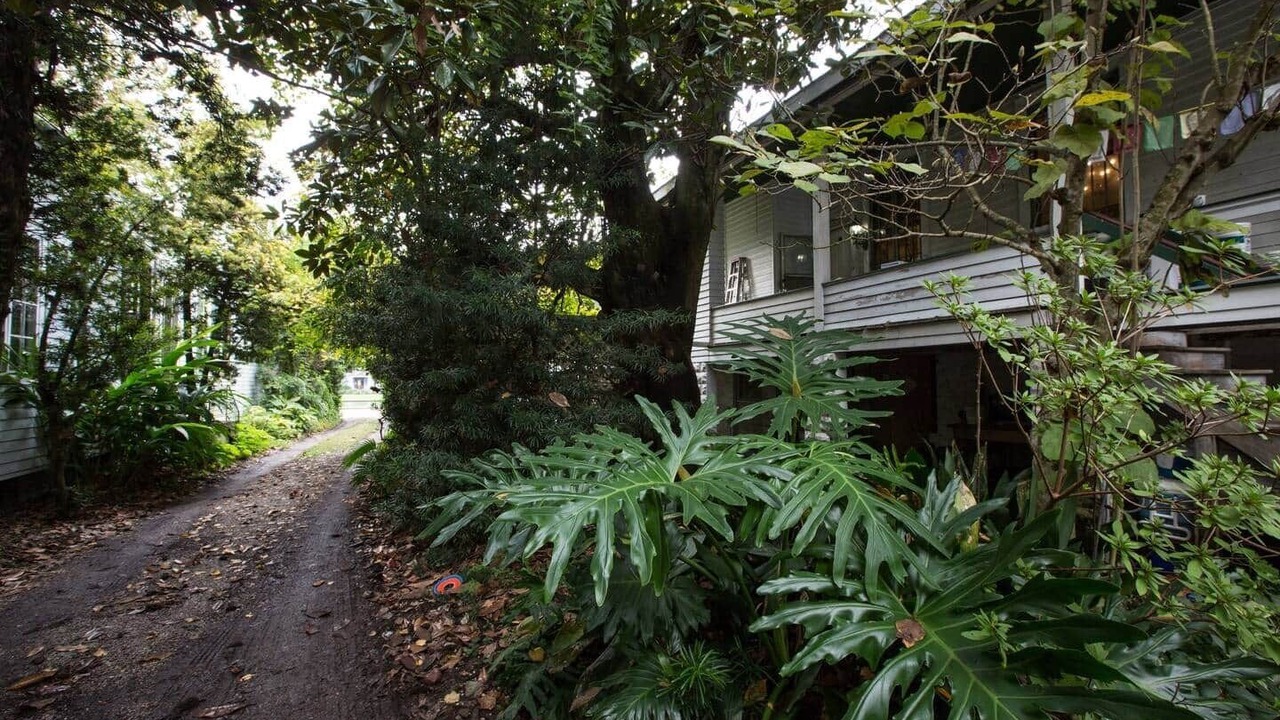 Photo of Outdoor in Bayou St. John
