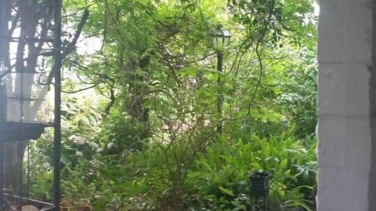Photo of Others in Bayou St. John