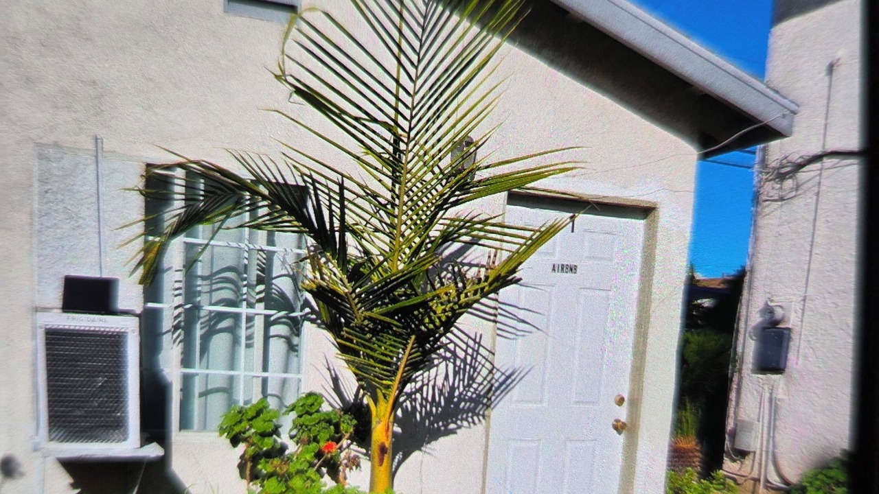 Photo of Outdoor in Downey