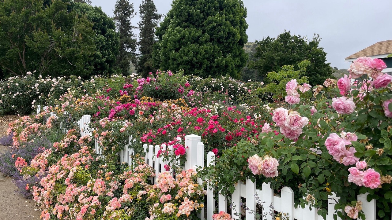 Photo of Outdoor in Fillmore