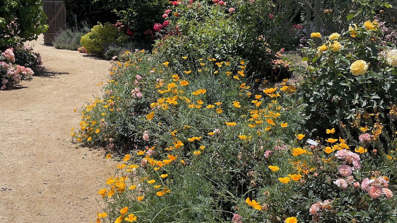 Photo of Outdoor in Fillmore