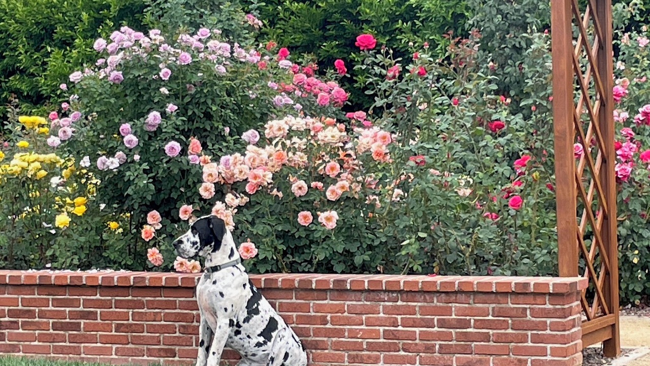 Photo of Outdoor in Fillmore