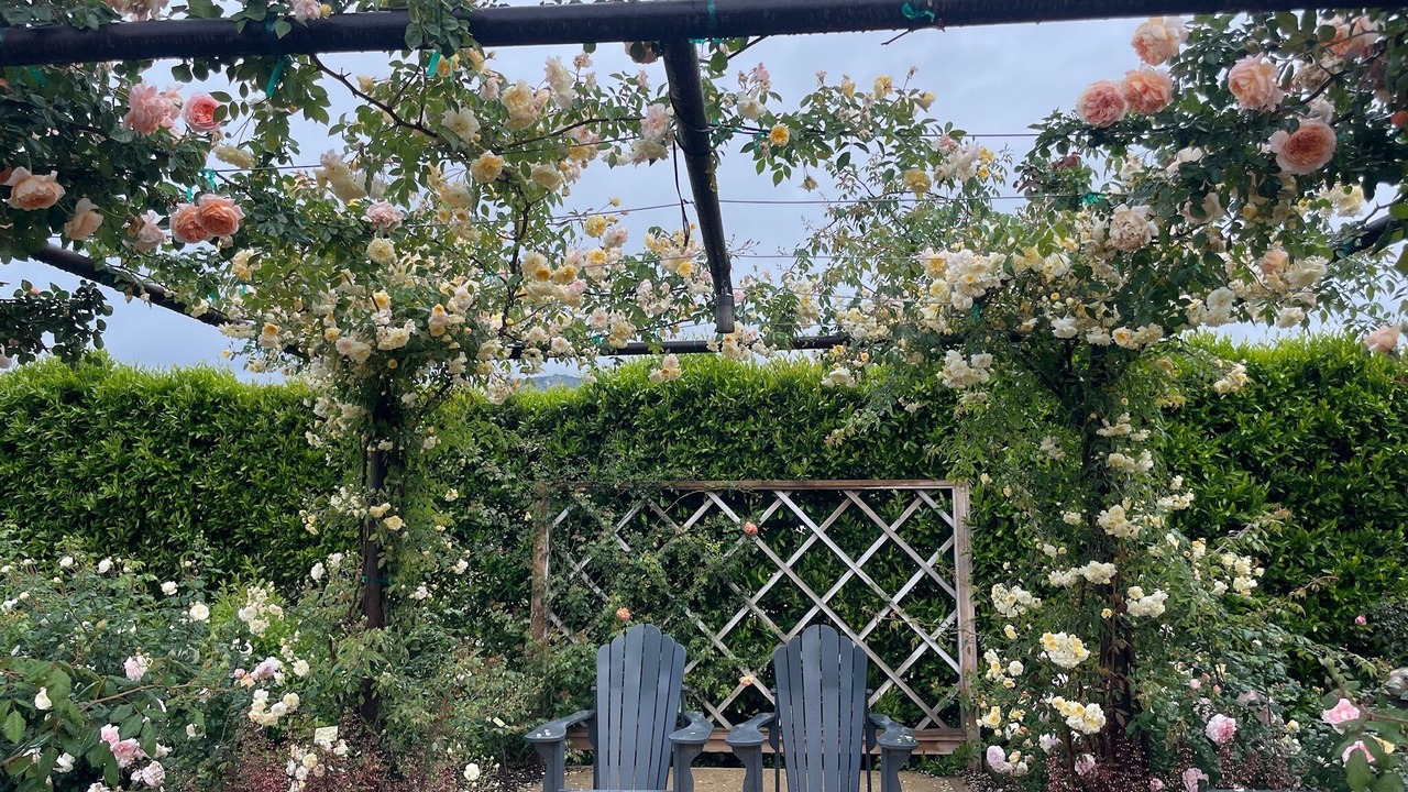 Photo of Patio Balcony in Fillmore