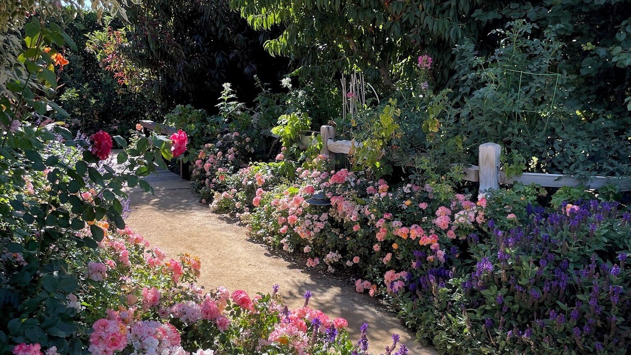 Photo of Outdoor in Fillmore