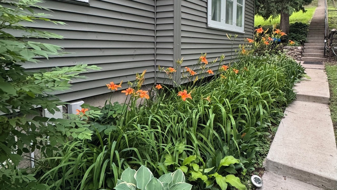 Photo of Outdoor in Ortonville