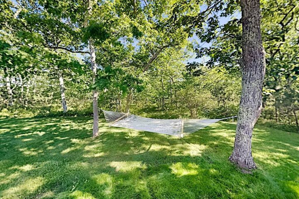 Photo of Outdoor in Katama