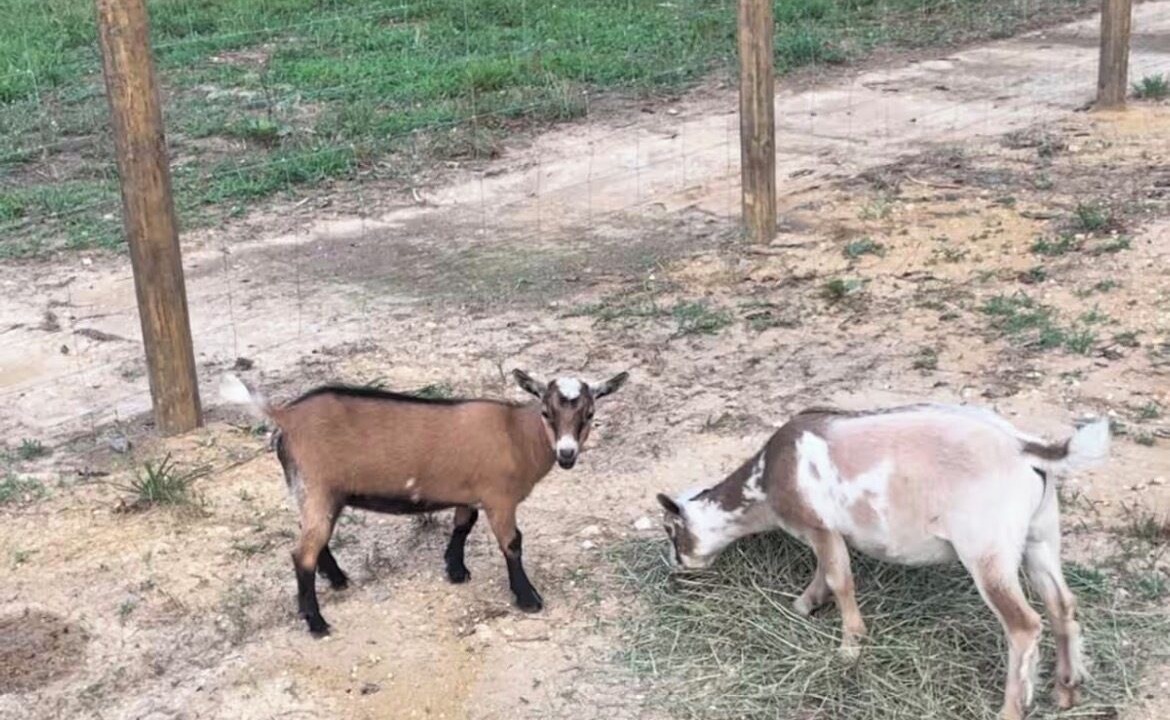 Photo of Others in Brandywine