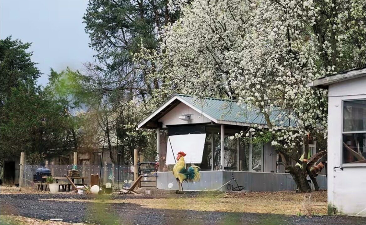 Photo of Others in Brandywine