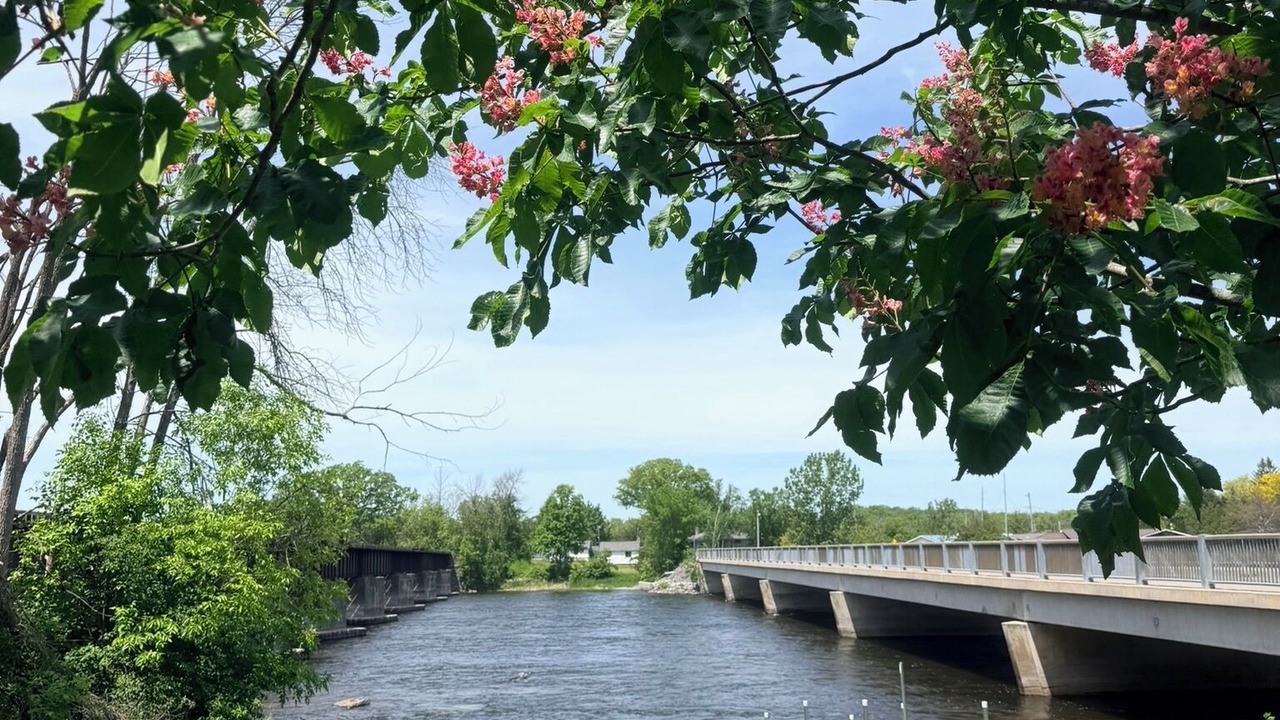 Photo of Others in Quinte West