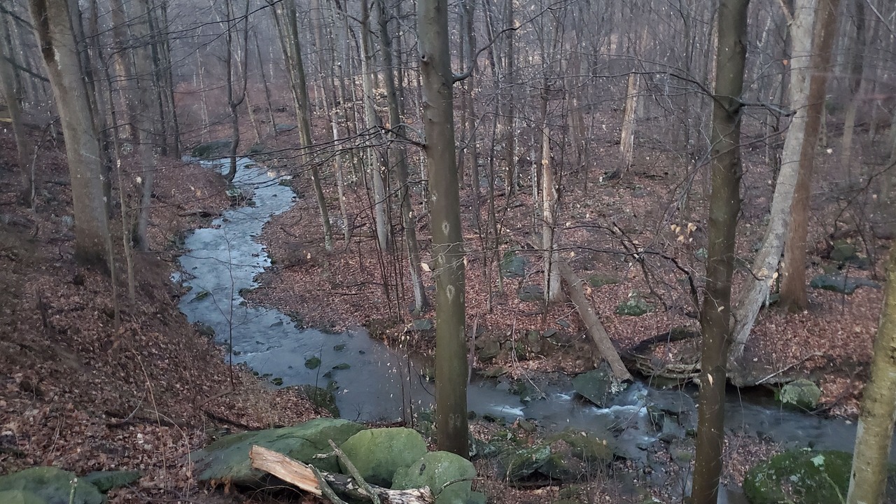 Photo of Others in Smithsburg