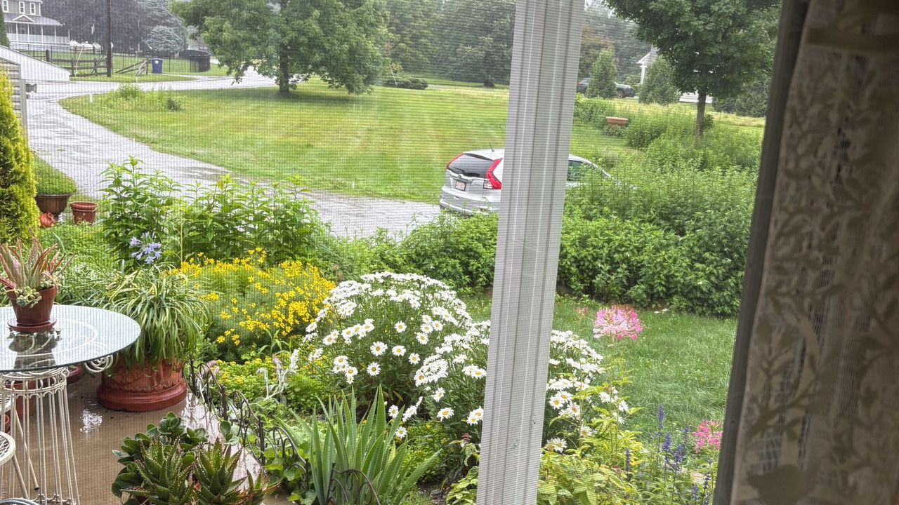 Photo of Others in Pittsfield