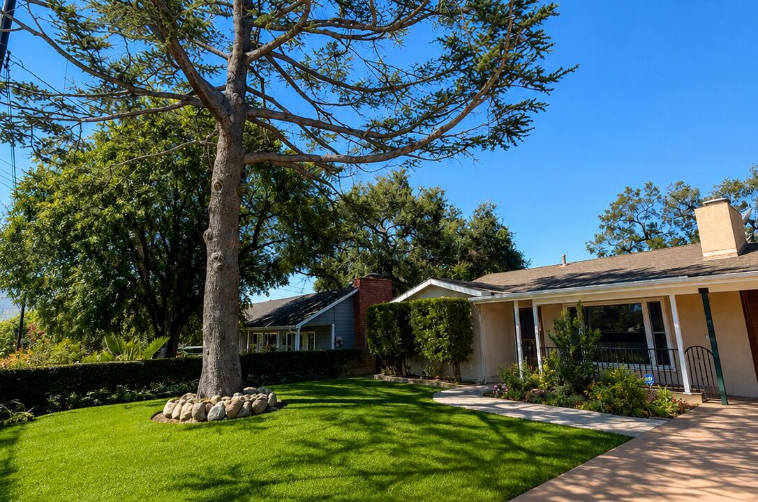 Photo of Outdoor in Santa Paula