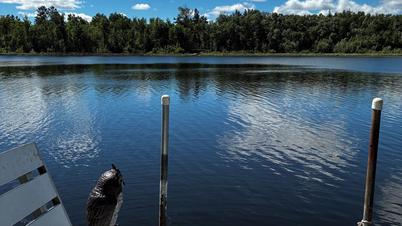 Photo of Others in Park Rapids