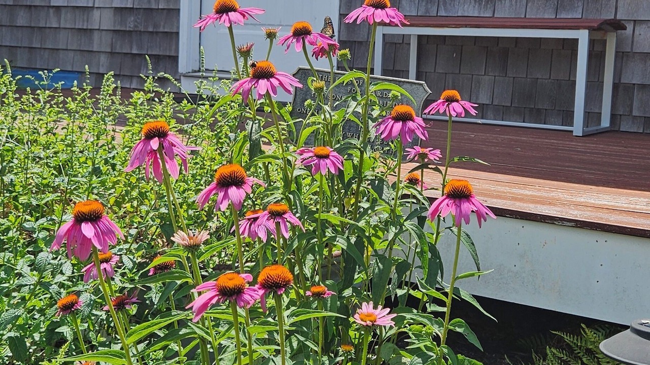 Photo of Outdoor in Tiverton