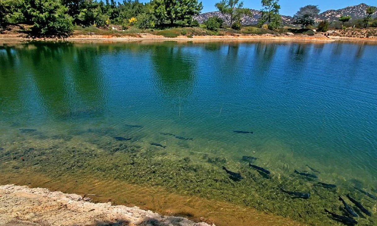 Photo of Others in Fallbrook
