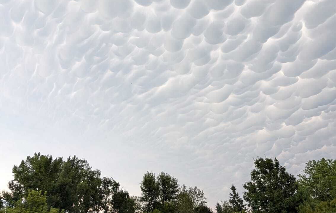 Photo of Others in Underwood