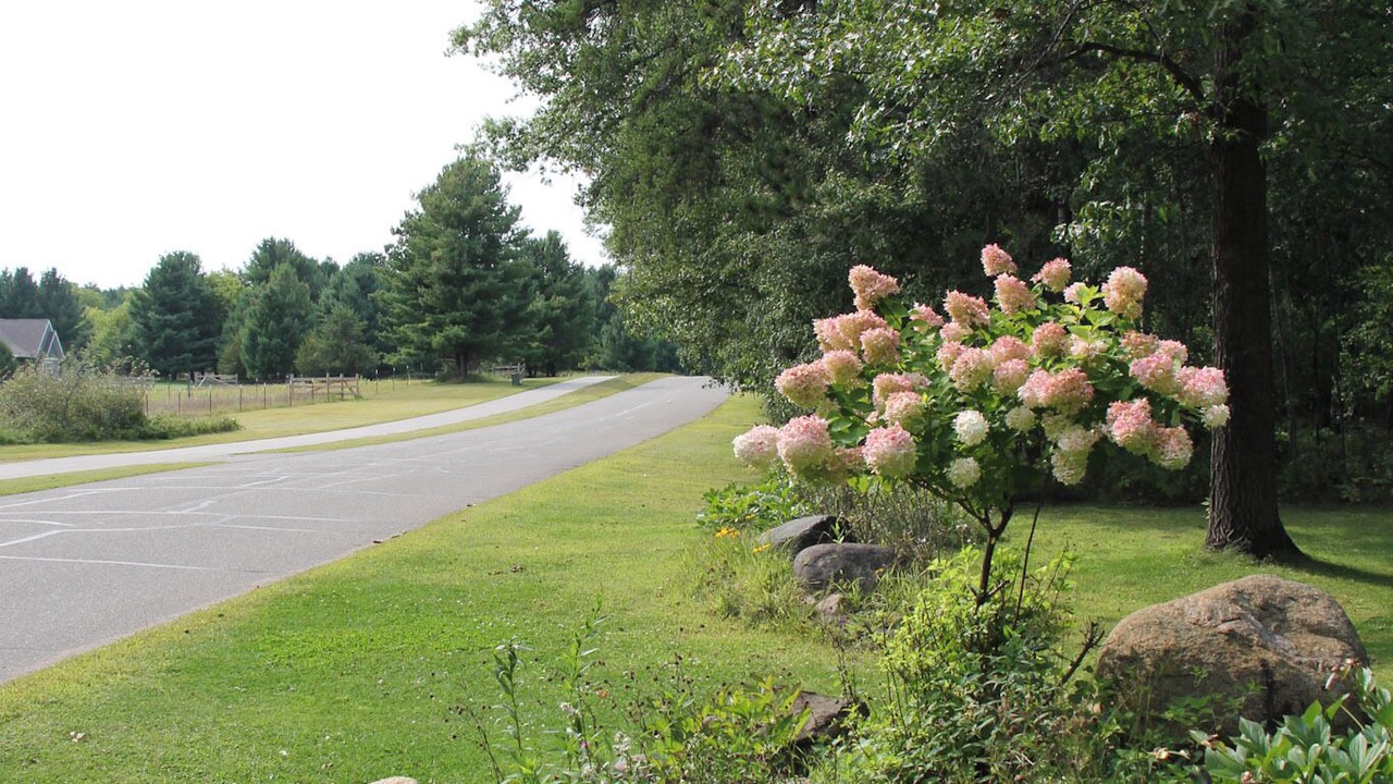Photo of Outdoor in Nisswa