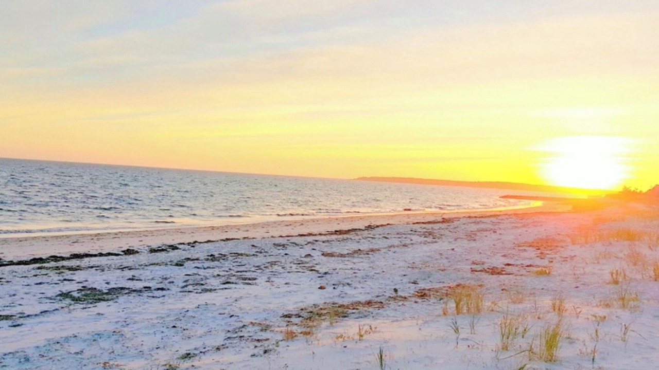 Photo of Others in West Yarmouth