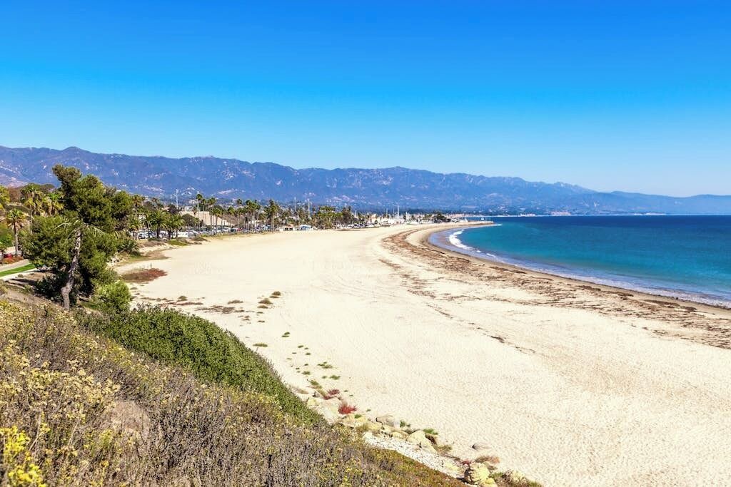 Photo of Others in East Beach