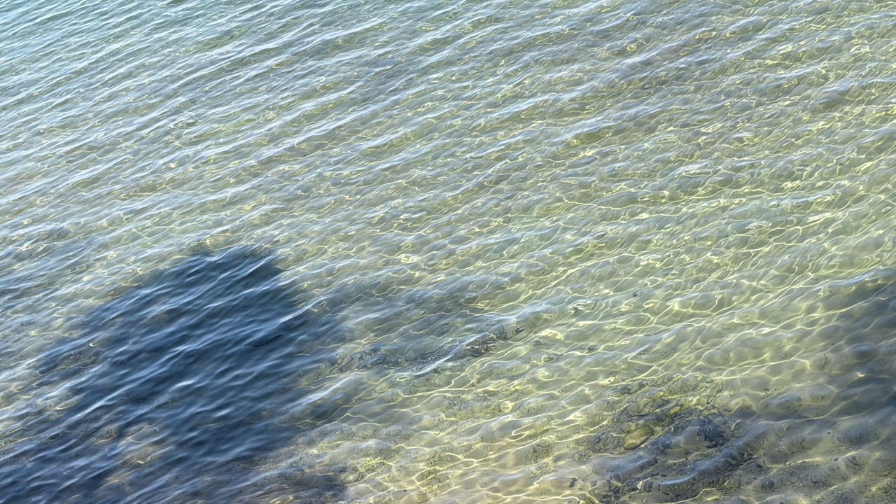 Photo of Others in Grand Rapids