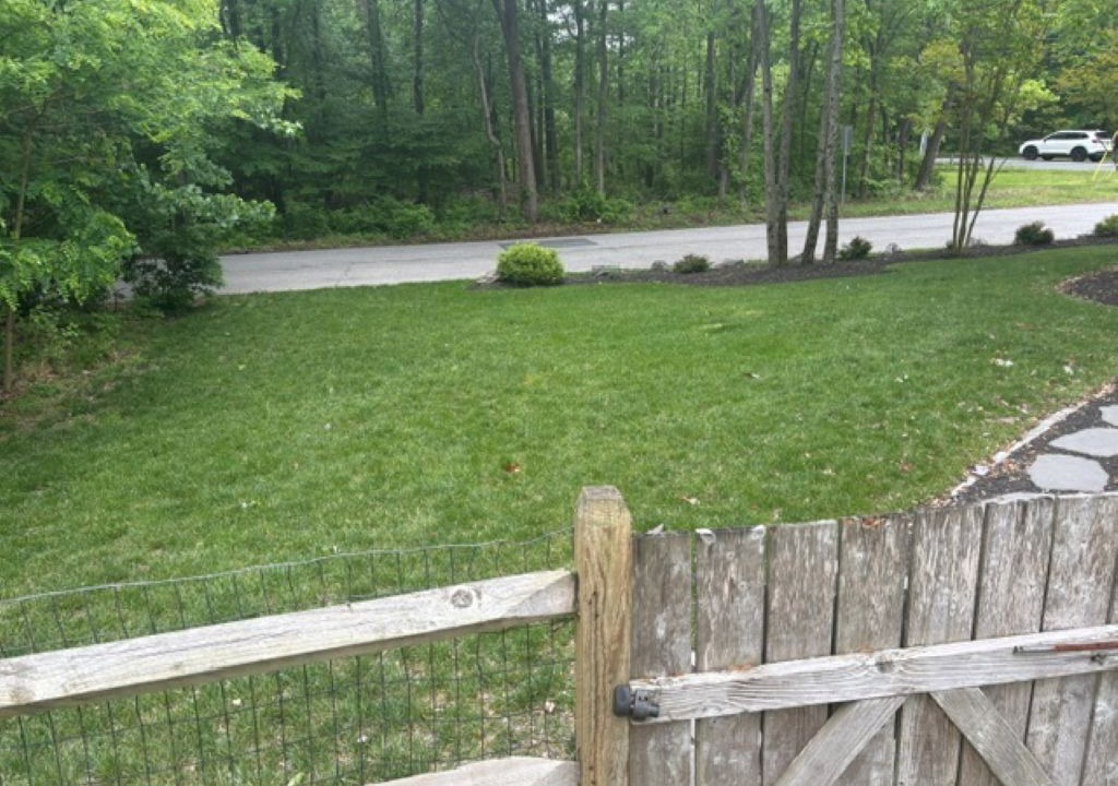 Photo of Outdoor in Annapolis