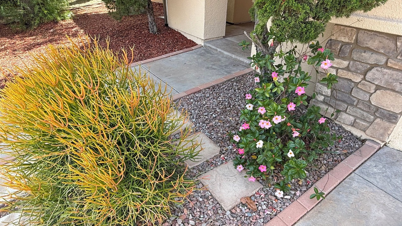 Photo of Outdoor in Canoga Park