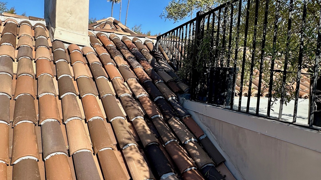 Photo of Others in Hollywood Hills