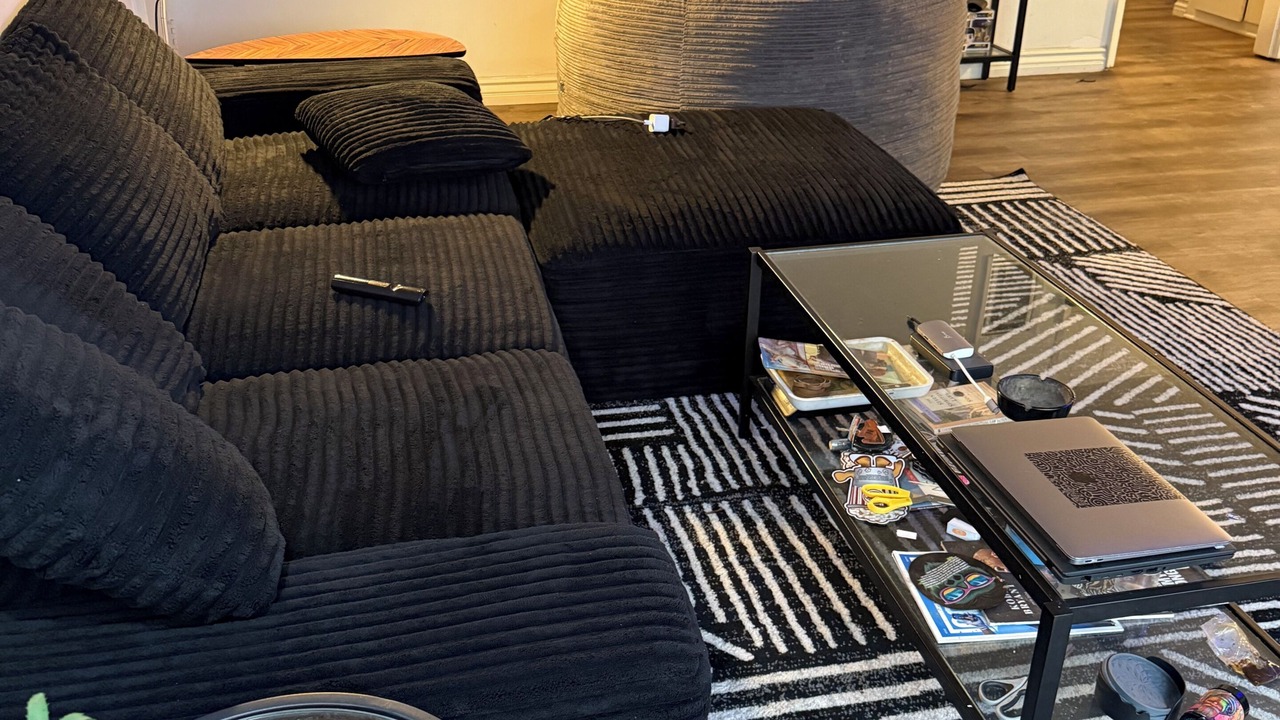 Photo of Livingroom in Sawtelle