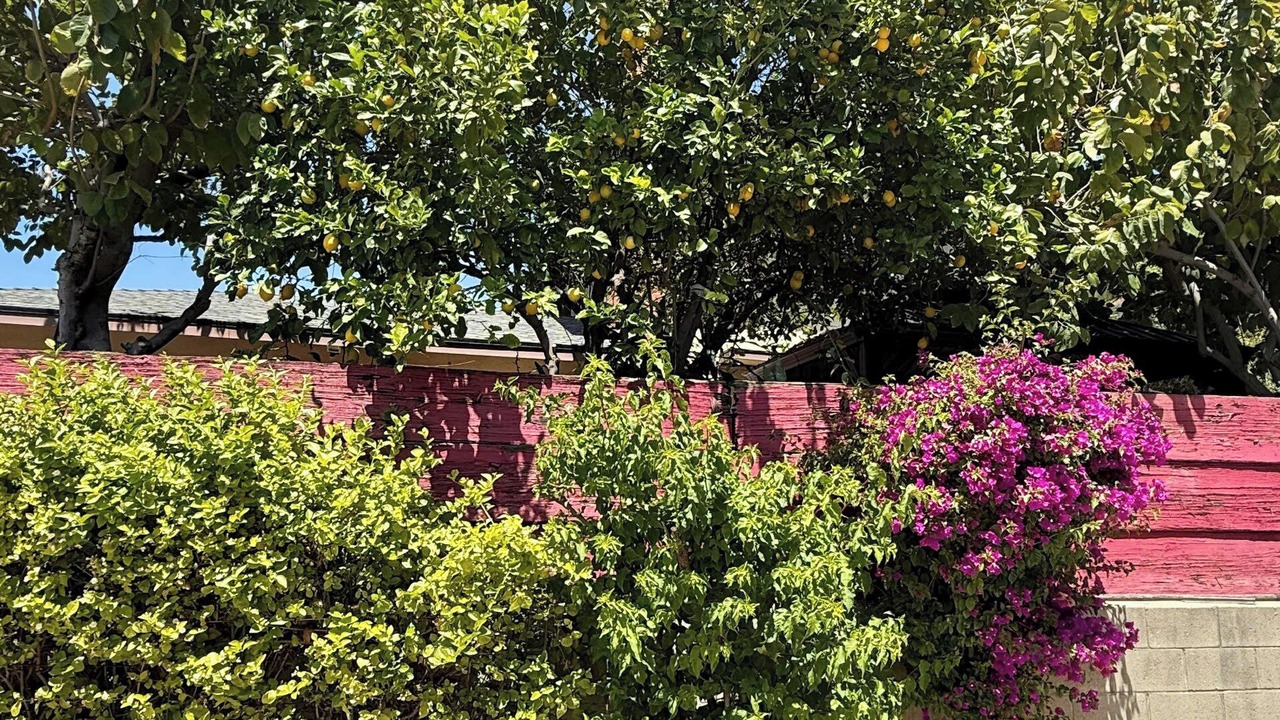 Photo of Outdoor in Monterey Park