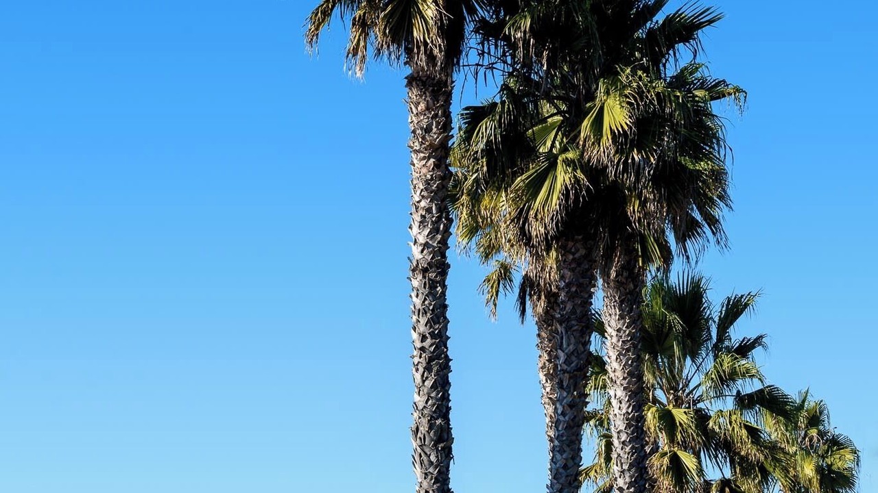 Photo of Others in Goleta