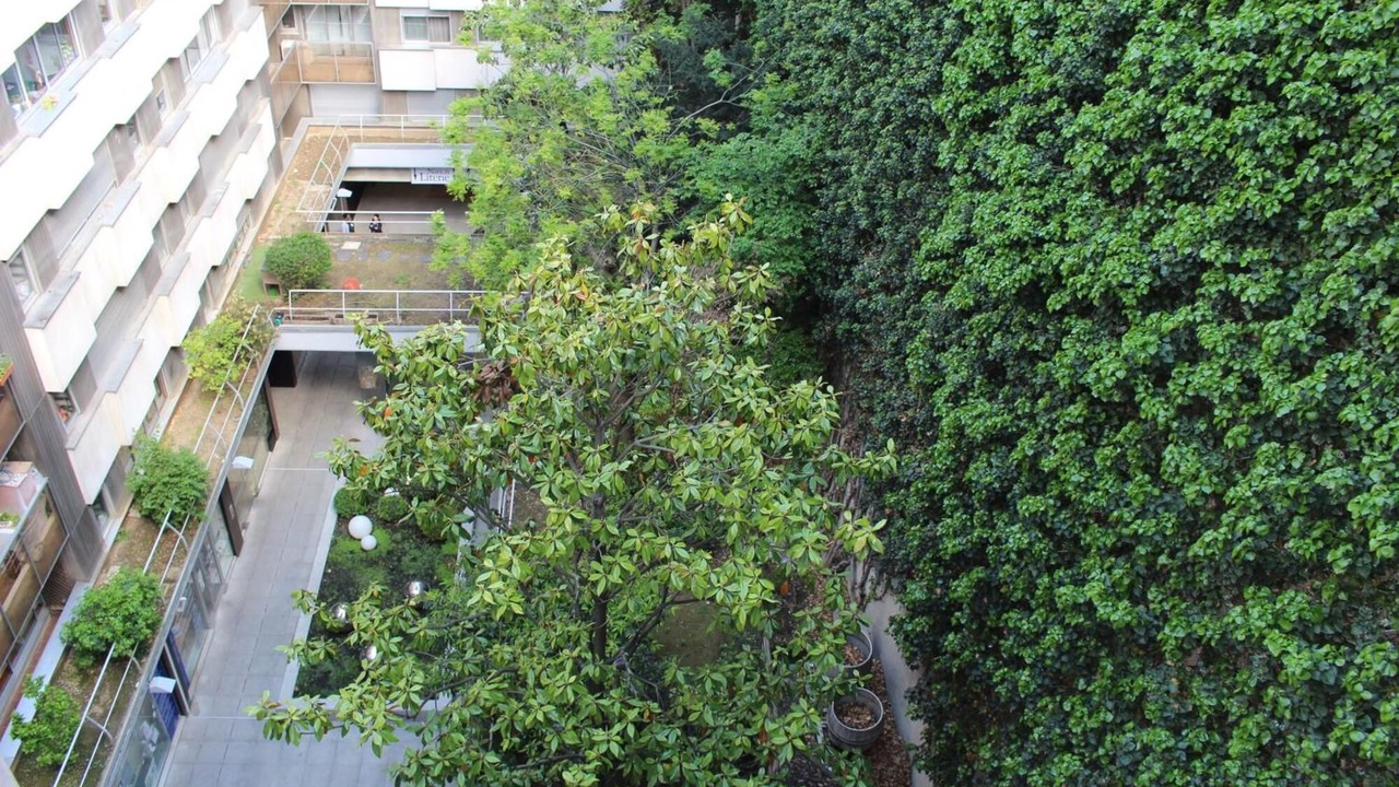 Photo of Outdoor in Chaussee-d'Antin