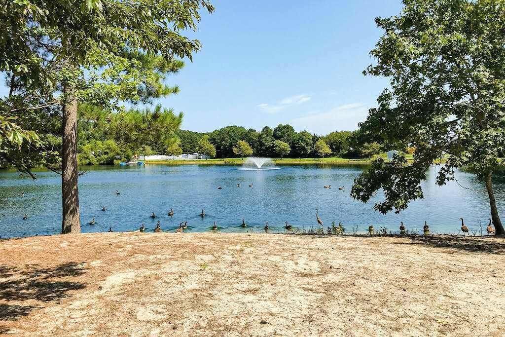 Photo of Others in Assateague Pointe