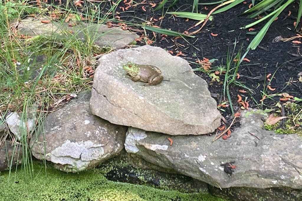 Photo of Others in Brewster