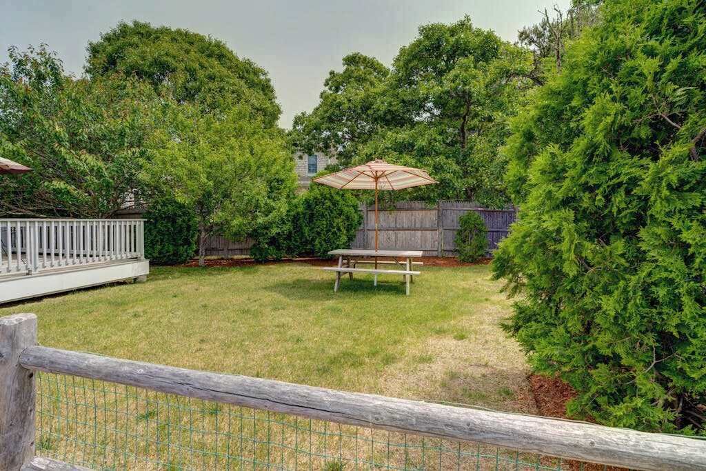 Photo of Outdoor in South Chatham