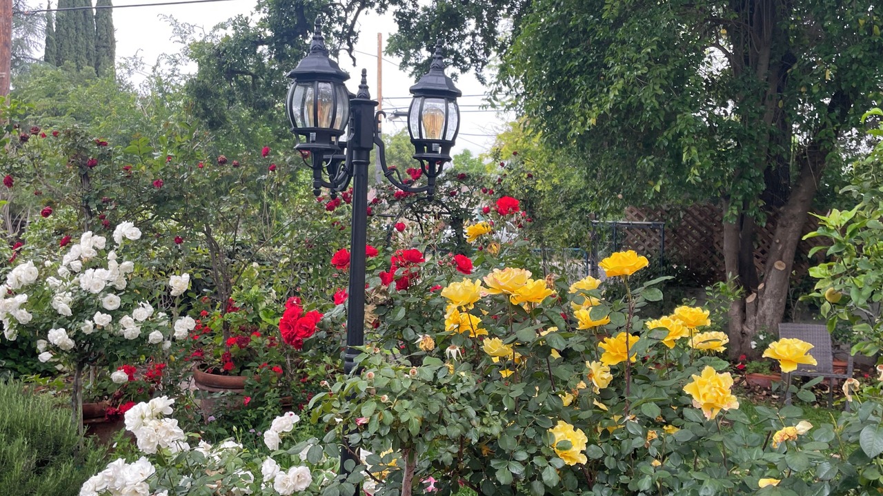 Photo of Outdoor in Ojai